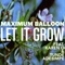 Let It Grow (feat. Karen O & Tunde Adebimpe) - Maximum Balloon lyrics
