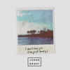 I Don't Love You (I'm Just Lonely) - Single