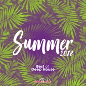 Summer 2018: Best of Deep House artwork