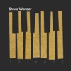 A Tribute to Stevie Wonder