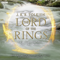 J.R.R. Tolkien - The Lord of the Rings, The Fellowship of the Ring artwork