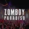 Paradiso (Festival Mix) - Single album lyrics, reviews, download