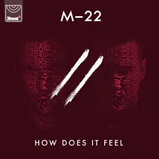 télécharger l'album M22 - How Does It Feel