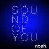 Sound of You - EP album lyrics, reviews, download