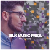 Silk Music Pres. Marsh 01 artwork