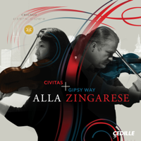 Civitas Ensemble, Gipsy Way Ensemble & Pavel Sporcl