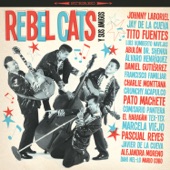 Rebel Cats y Sus Amigos artwork