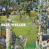 Paul Weller - Cold Moments