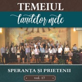 Temeiul laudelor mele, Vol. 17 artwork