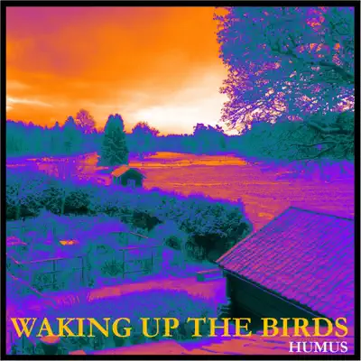 Waking Up the Birds - Humus
