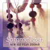 Sommeil zen - New age pour dormir, Musique détente et anti-stress, Sophrologie & bien-être album lyrics, reviews, download