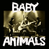 Baby Animals Live artwork