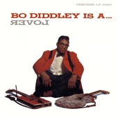 Bo Diddley Is a Lover artwork