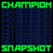 Snapshot artwork