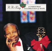 B.B. King - Bringing In A Brand New Year