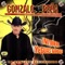 Chaparra de Mi Amor - GONZALO PENA lyrics