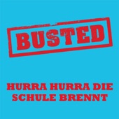 Hurra hurra, die Schule brennt! artwork