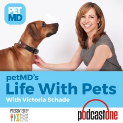 petMD's Life with Pets with Victoria Schade