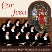 Cor Jesu, Cor Purissimum artwork