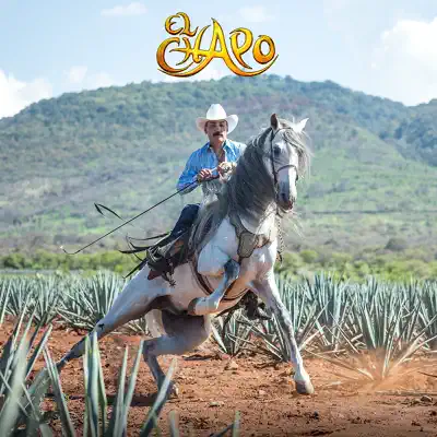 El Mago (Version Mariachi) - Single - El Chapo De Sinaloa