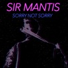 sorry not sorry - Single