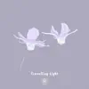 Travelling Light feat. Frida Sundemo - Single album lyrics, reviews, download