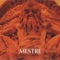 Mestre - Petrus Castrus lyrics