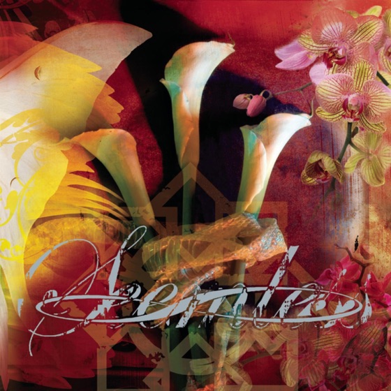 Cover artwork for Cast No Shadow