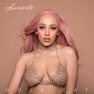 Doja Cat Cookie Jar