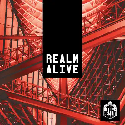 Alive (Noctane Remix) - Single - Realm
