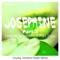 Josephine (feat. Marc Evans) - Antonello Ferrari & Aldo Bergamasco lyrics