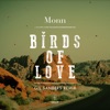 Birds of Love (Gil Sanders Remix) - Single, 2018
