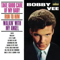 Take Good Care of My Baby by Bobby Vee album reviews, ratings, credits