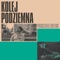 Nie Po To (feat. Miły ATZ & Parzel) - Proceente & Metro lyrics