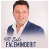 Faleminderit - Single