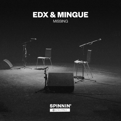 Missing (Mingue Acoustic Version)