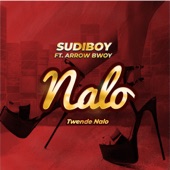 Nalo Twende Nalo (feat. Arrow Bwoy) artwork