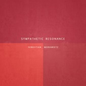 Sympathetic Resonance - EP artwork