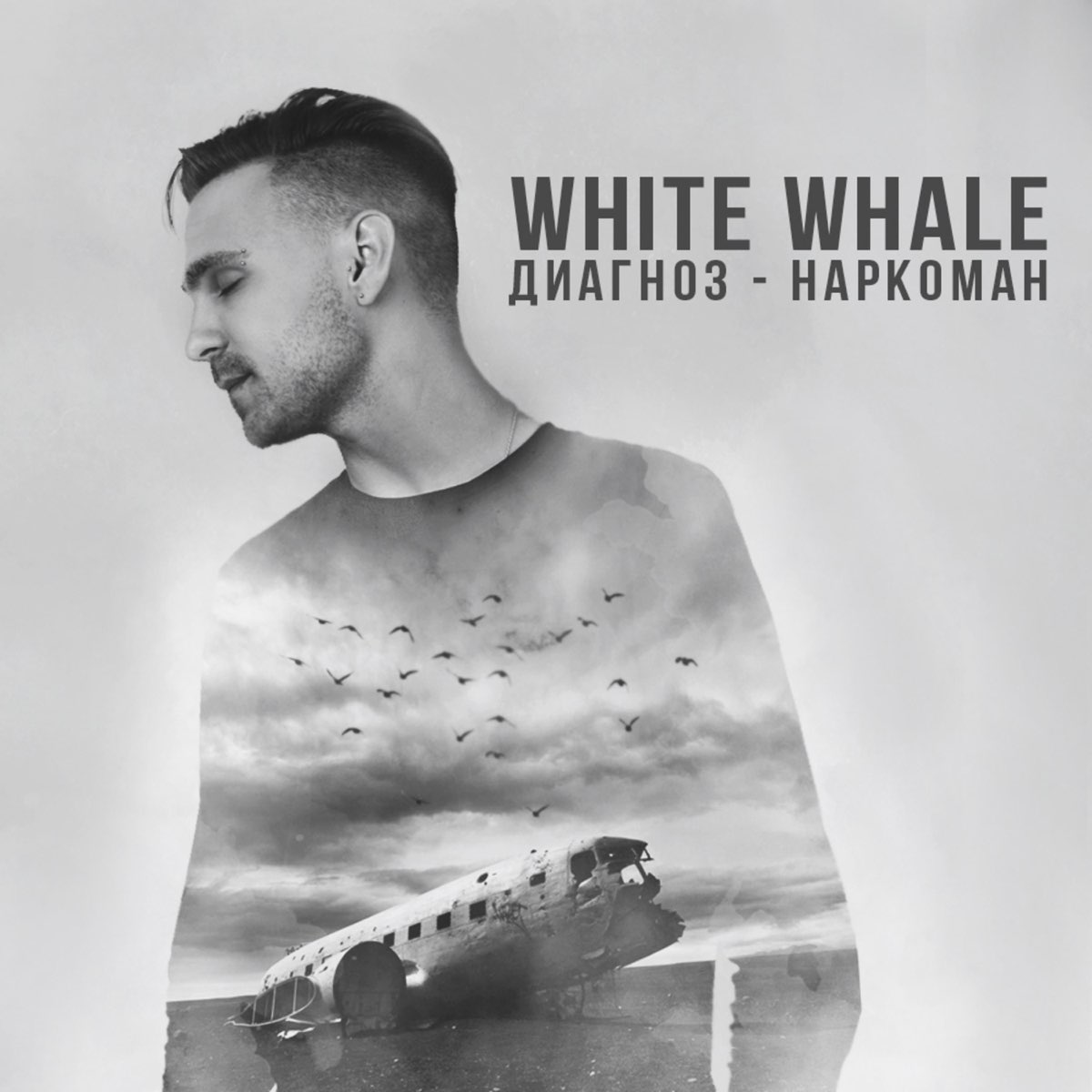 White Whale исполнитель. White Whale альбом.