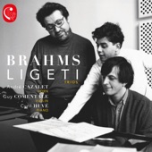 Brahms & Ligeti Trios artwork