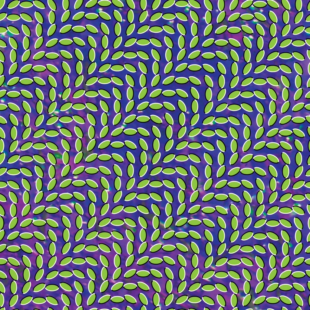 Animal Collective: Next Steps