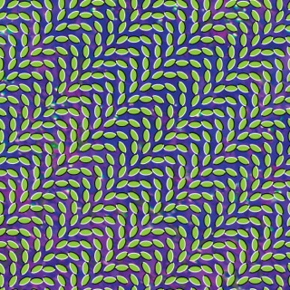 Animal Collective: Summertime Clothes