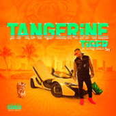 Tangerine Tiger cover