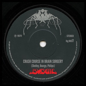Crash Course In Brain Surgery (2013 remaster) - Single