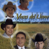 La Voz del Joropo artwork