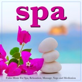 Spa: Calm Music For Spa, Relaxation, Massage, Yoga and Meditation artwork