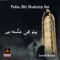Pehlu Bhi Shakista Hai (feat. Ali Haider Raza) - Zainab Batool lyrics