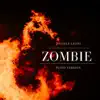 Zombie (Piano Version) - Single album lyrics, reviews, download