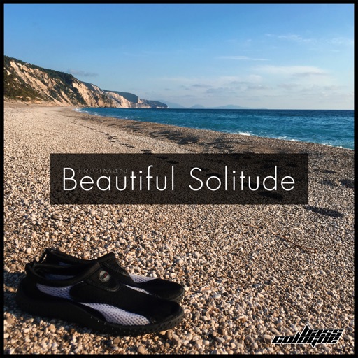 Beautiful Solitude - Single by Fr33m4n