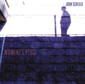 John Scofield - Plain Song